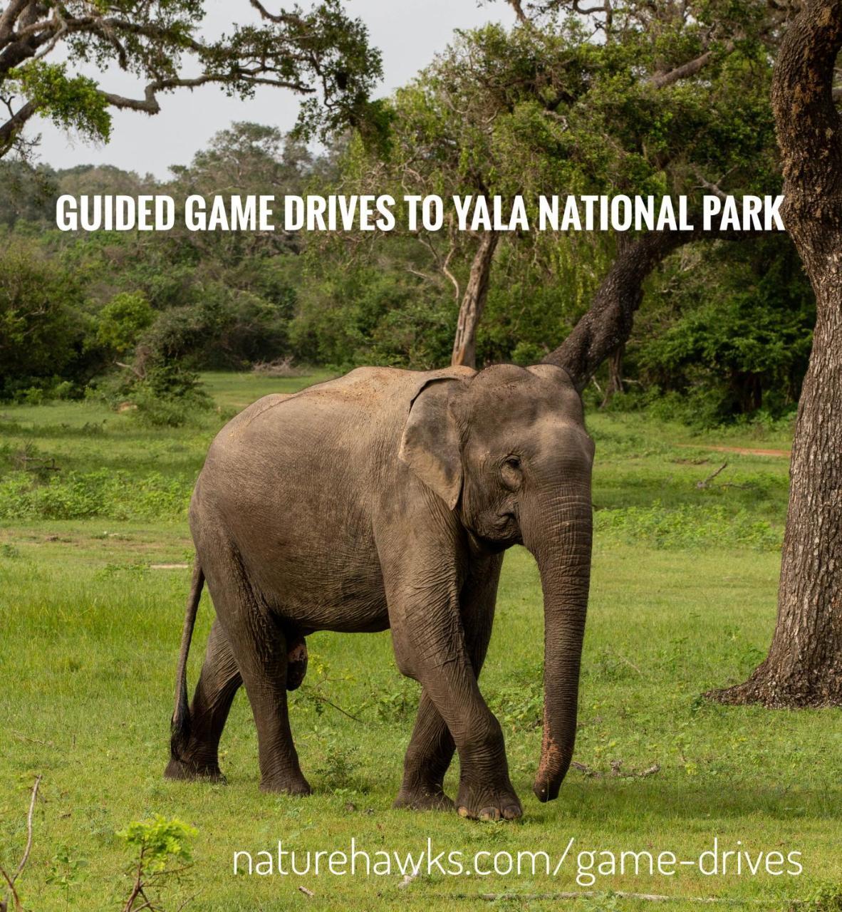 Naturehawks Safari Villa Tissamaharama Ngoại thất bức ảnh